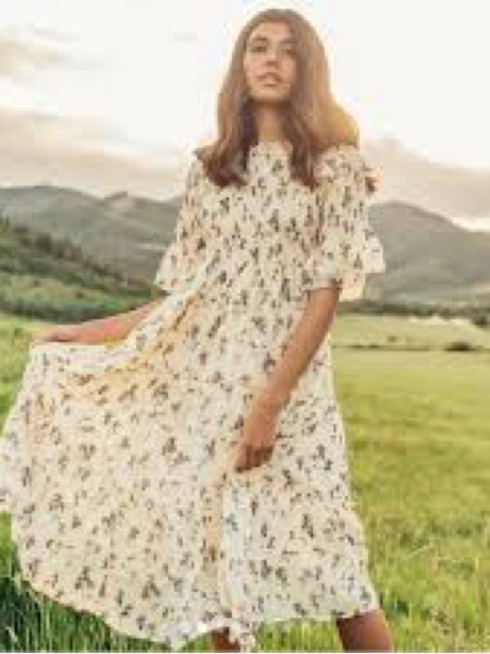 JessaKae Wandering Willoughby dress, floral cream smocked bodice 5x